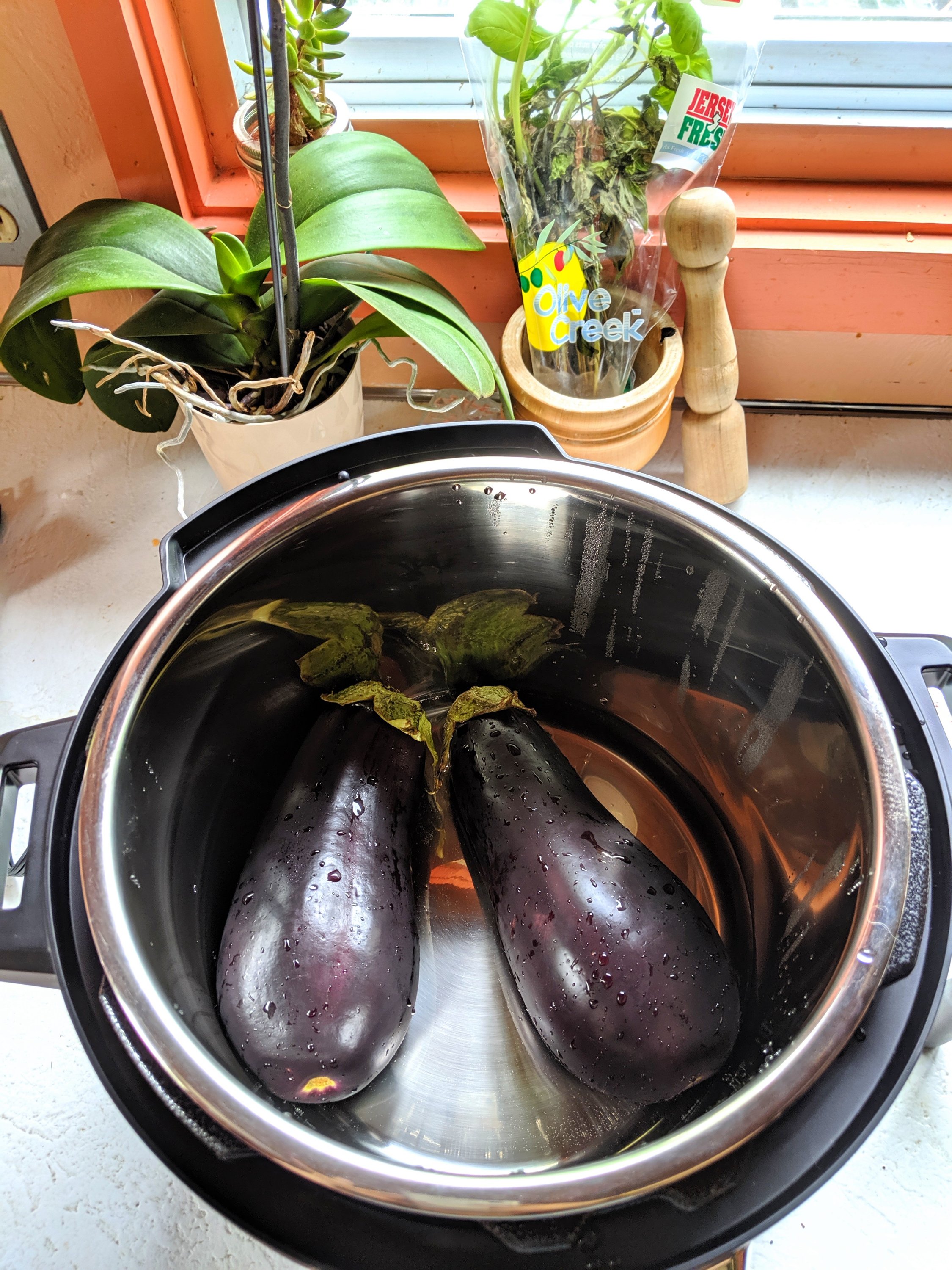 eggplant instant pot recipe baba ganoush instant pot paleo vegan gluten free eggplant dip recipe
