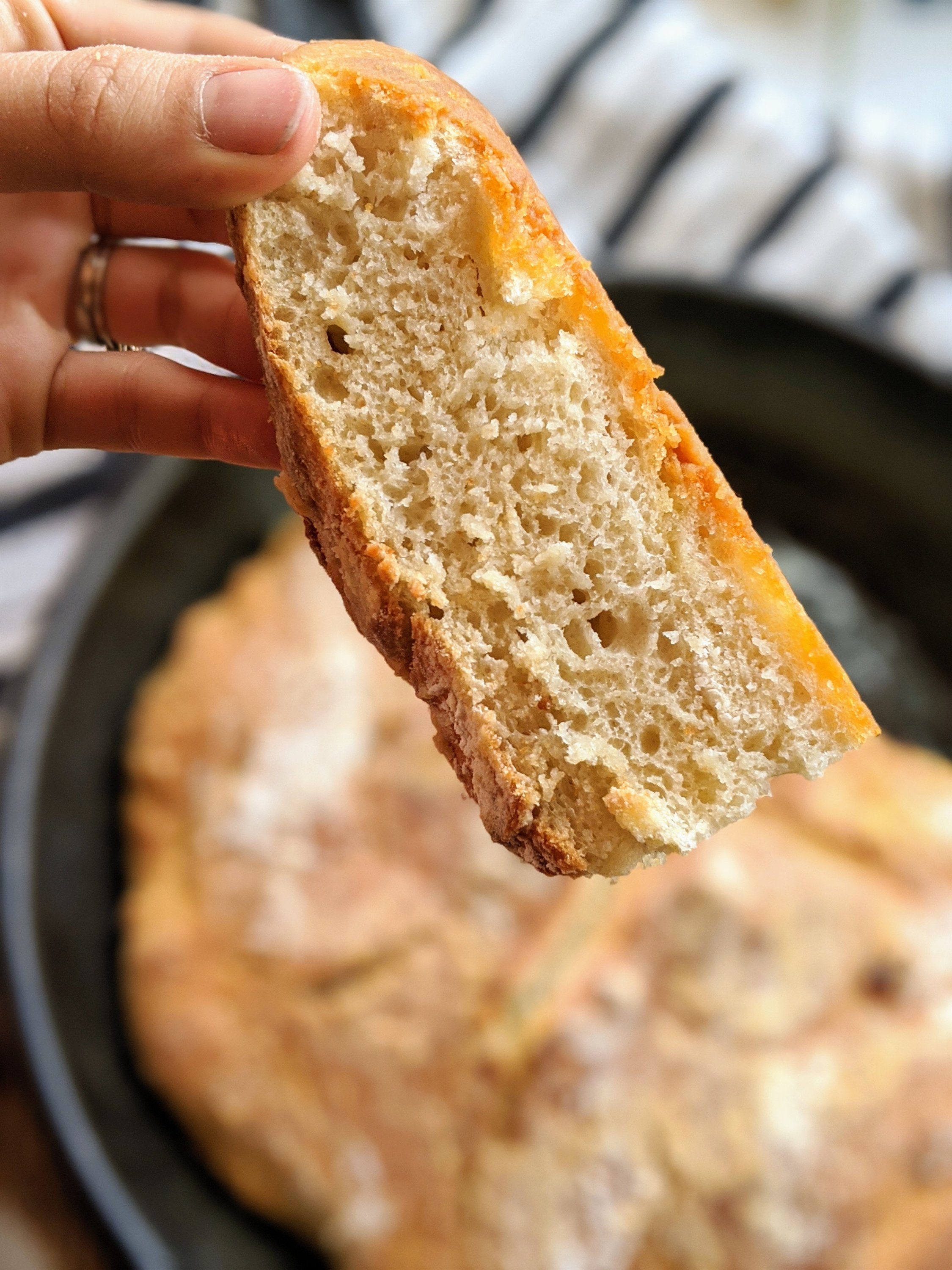 healthy 5 ingredient pantry bread no knead skillet bread make bread in cast iron pan bread recipe skillet bread no kneading required