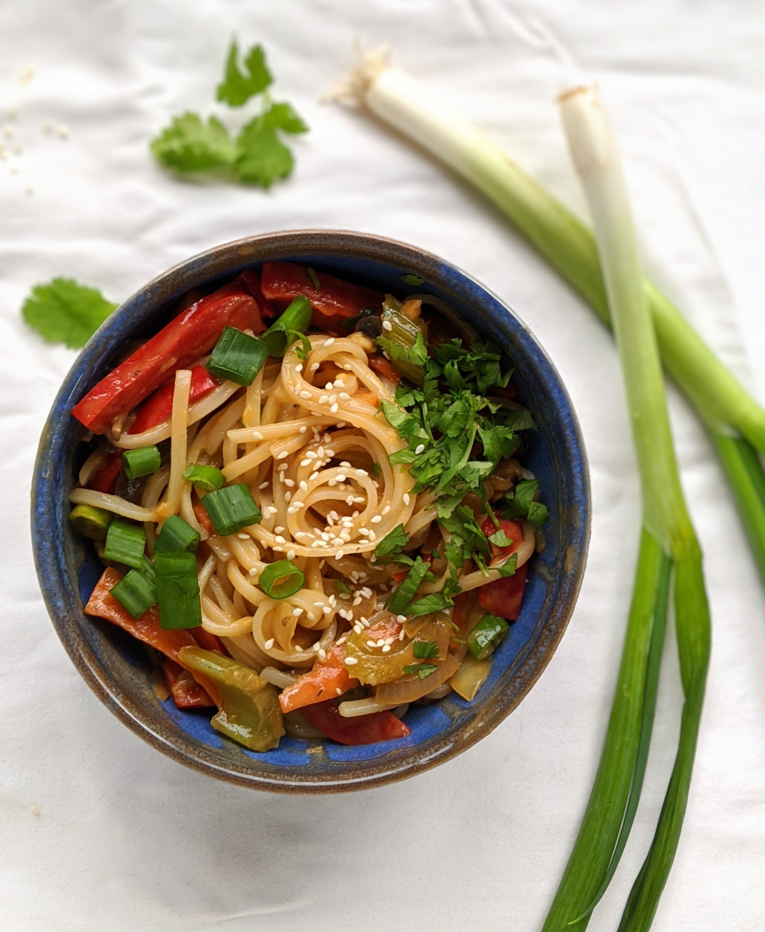 Rice Noodles with Peanut Sauce vegan gluten free peanut noodles recipe based spicy rice noodles in a peanut sauce with sesame seeds green onion bell pepper carrots and cilantro