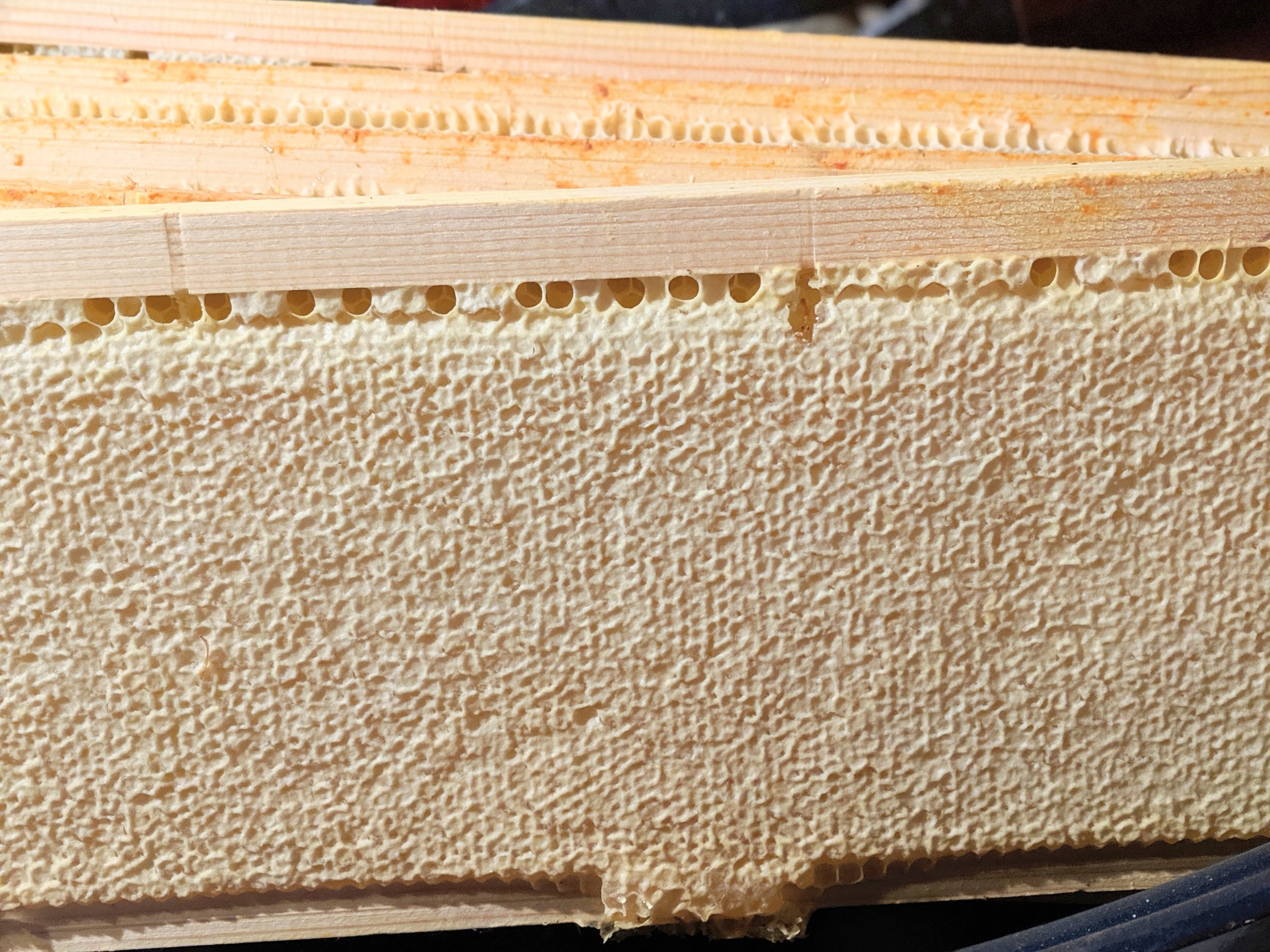 a frame of honey capped with natural beeswax straight from the hive inside the beehive of a beekeeper
