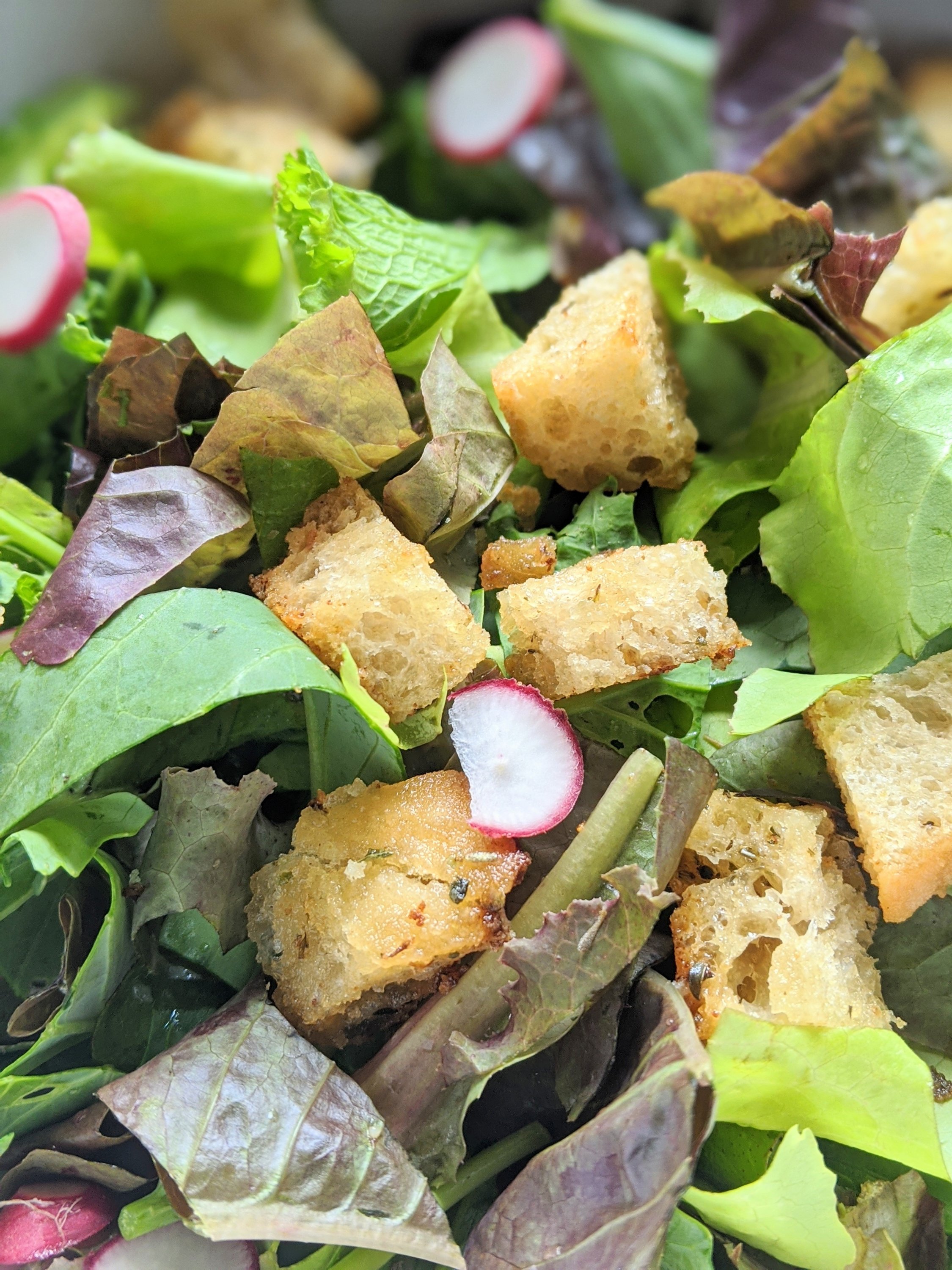 mixed green salad with vegan crouton recipe radishes red leaf lettuce and green lettuce salads vegan gluten free vegetarian