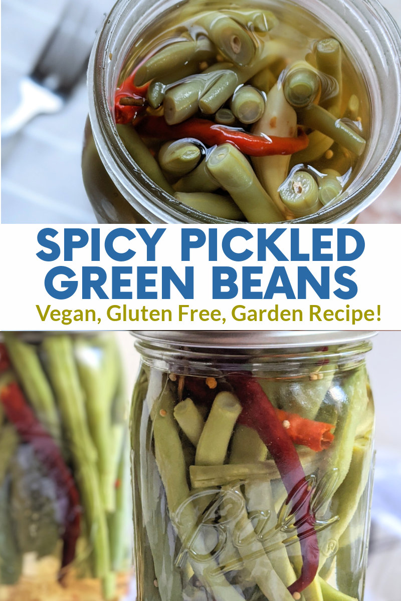 spicy pickled green beans recipe refrigerator pickles green beans healthy garden green beans what to do with extra green beans quick pickles