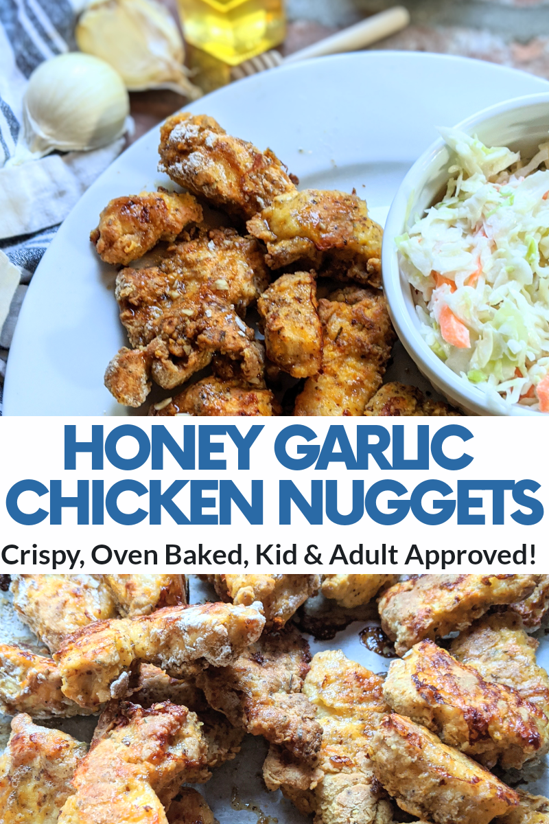 hoeny garlic chicken nuggest recipe healthy chicken with honey garlic sauce beekeeper recipes for honey and meat honey and chicken