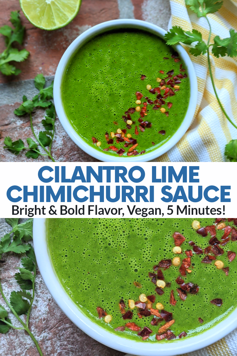 best whole30 chimichurri sauce with cilantro and lime juice crushed pepper garlic and spices healthy vegan gluten free vegetarian 5 minute recipe