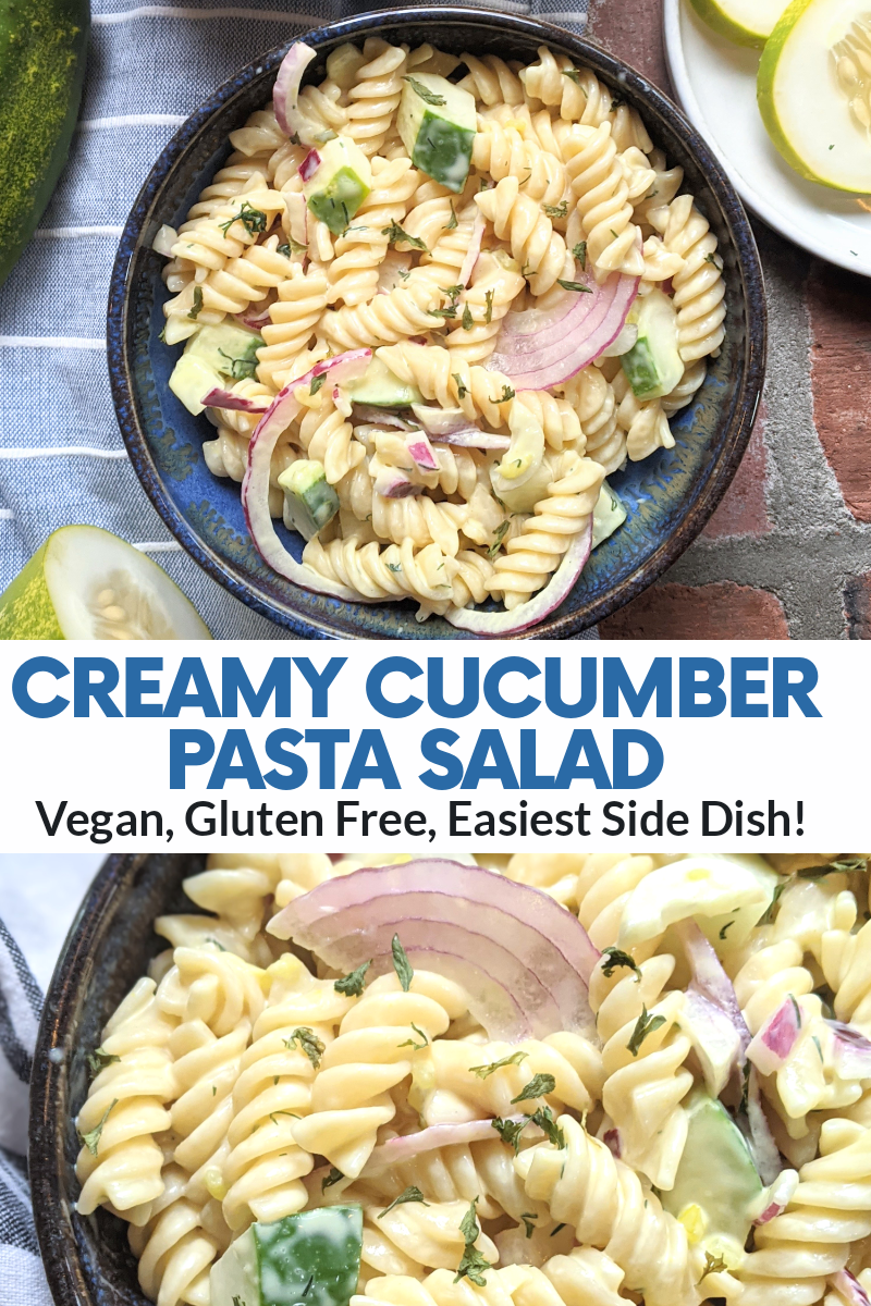 vegan cucumber pasta salad creamy plant based vegan recipes for garden cucumbers what to do with extra cucumbers healthy gluten free vegetarian meatless recipe ideas