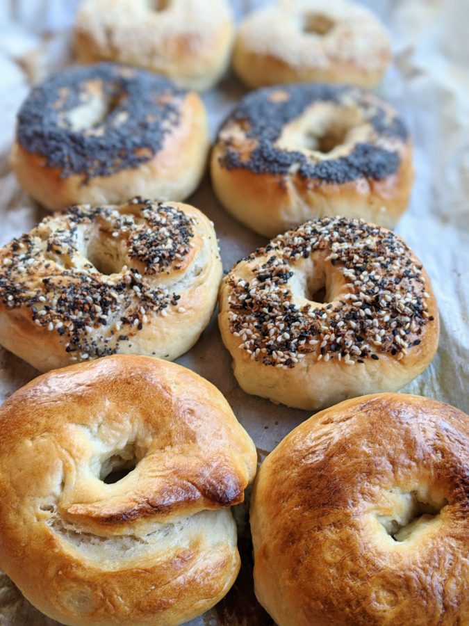 Vegan Sourdough Bagels Recipe (Egg Free, Dairy Free) The Herbeevore