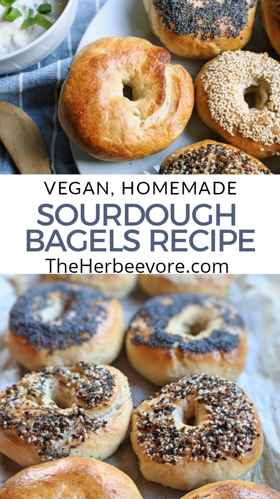 sourdough bagels recipe vegan homemade healthy pantry staple ingredients sourdough starter discard recipes bread