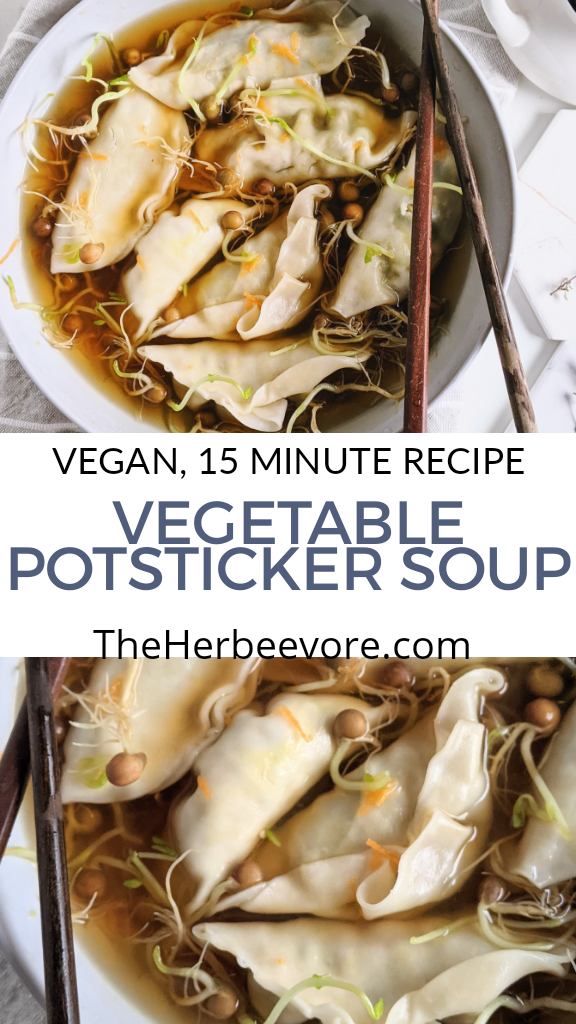 vegetable pot sticker soup recipe vegan gluten free healthy skinny soup weight loss dinner ideas and recipes to slim down