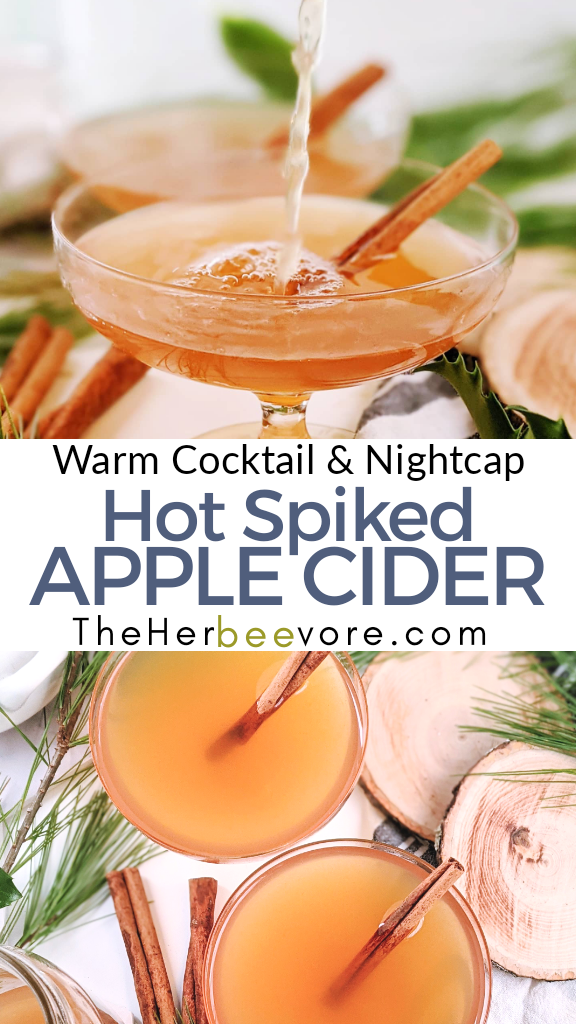 best christmas cocktail recipes for parties bbq holiday entertaining fall autumn drinks moonshine cocktails apple pie shots