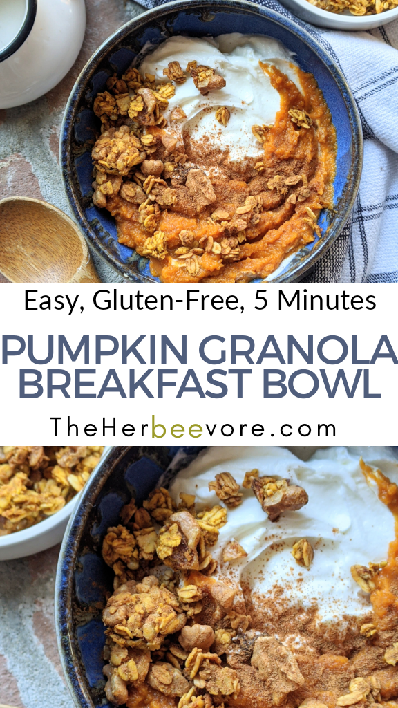 pumpkin granola breakfast bowl recipe healthy ways to eat cannumed pumpkin that isn't pie kids will love