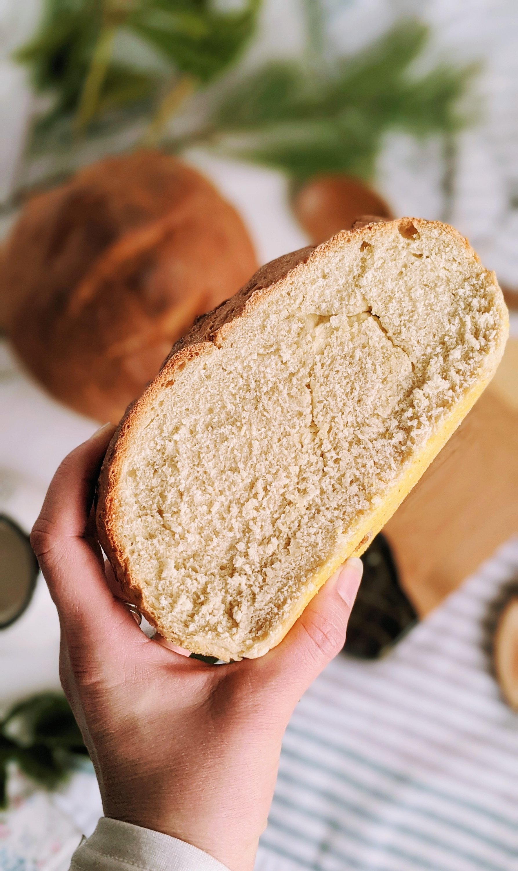 homemade bread recipe with cornmeal on the bottom vegan dairy free no eggs healthy plant based bread simple pantry staple ingredients cheap inexpensive