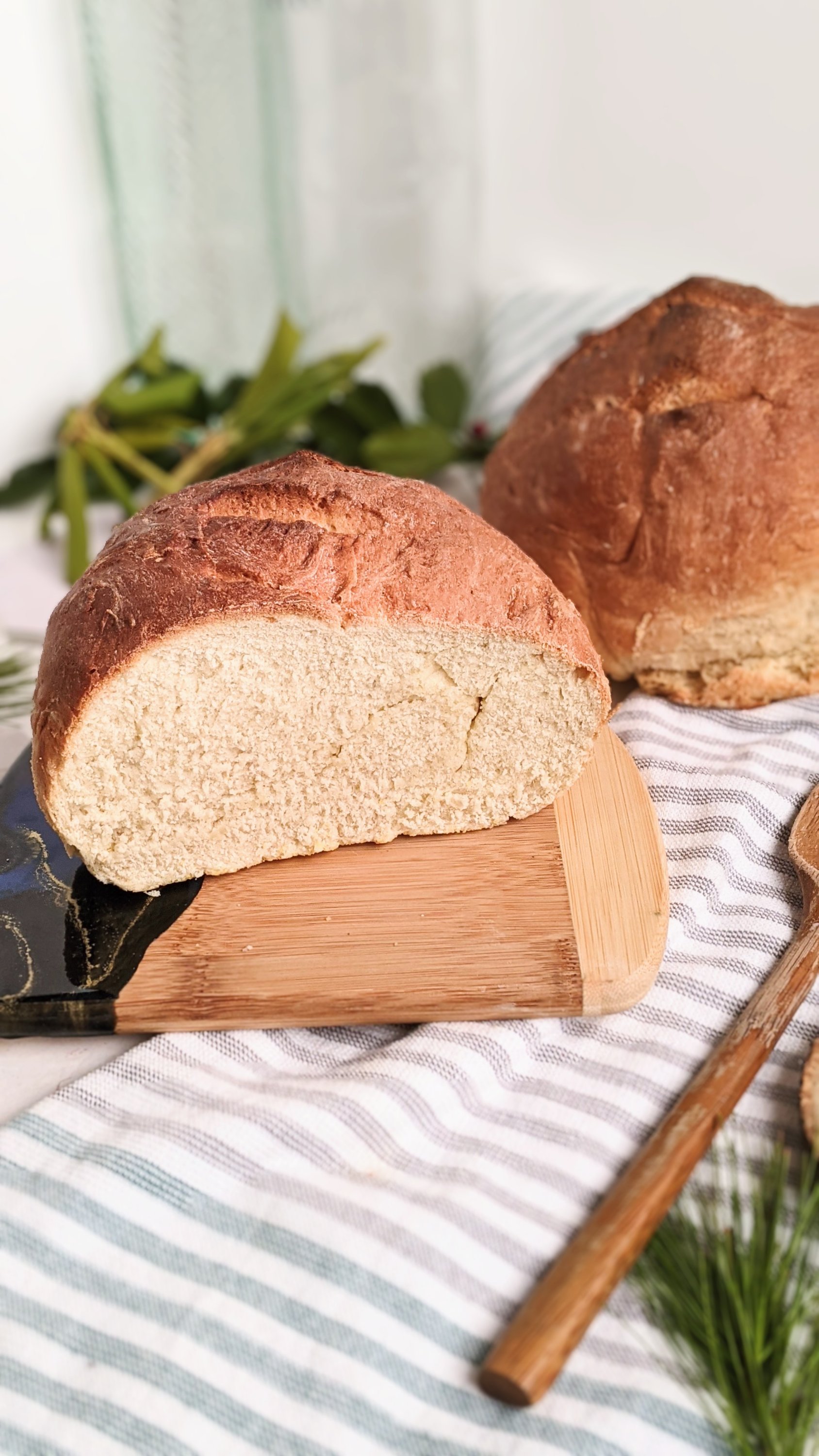 quick yeast bread recipe healthy bread 5 ingredients 1 hour to rise easy dinner loaves for sandwiches or garlic bread healthy simple breads recipe