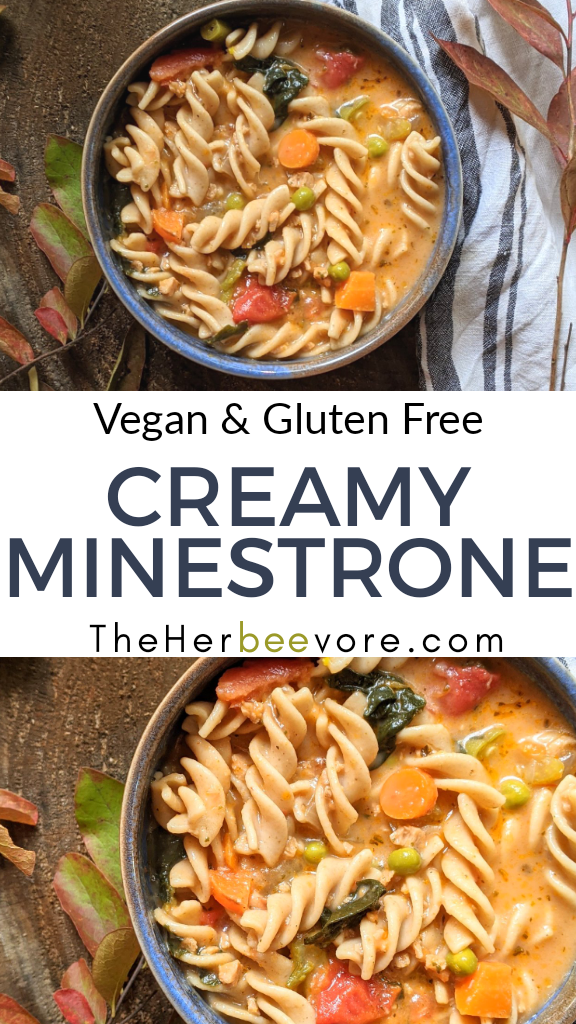creamy vegan minestrone soup with pasta and vegetables meatless minestrone italian soups vegan plant based healthy low calorie