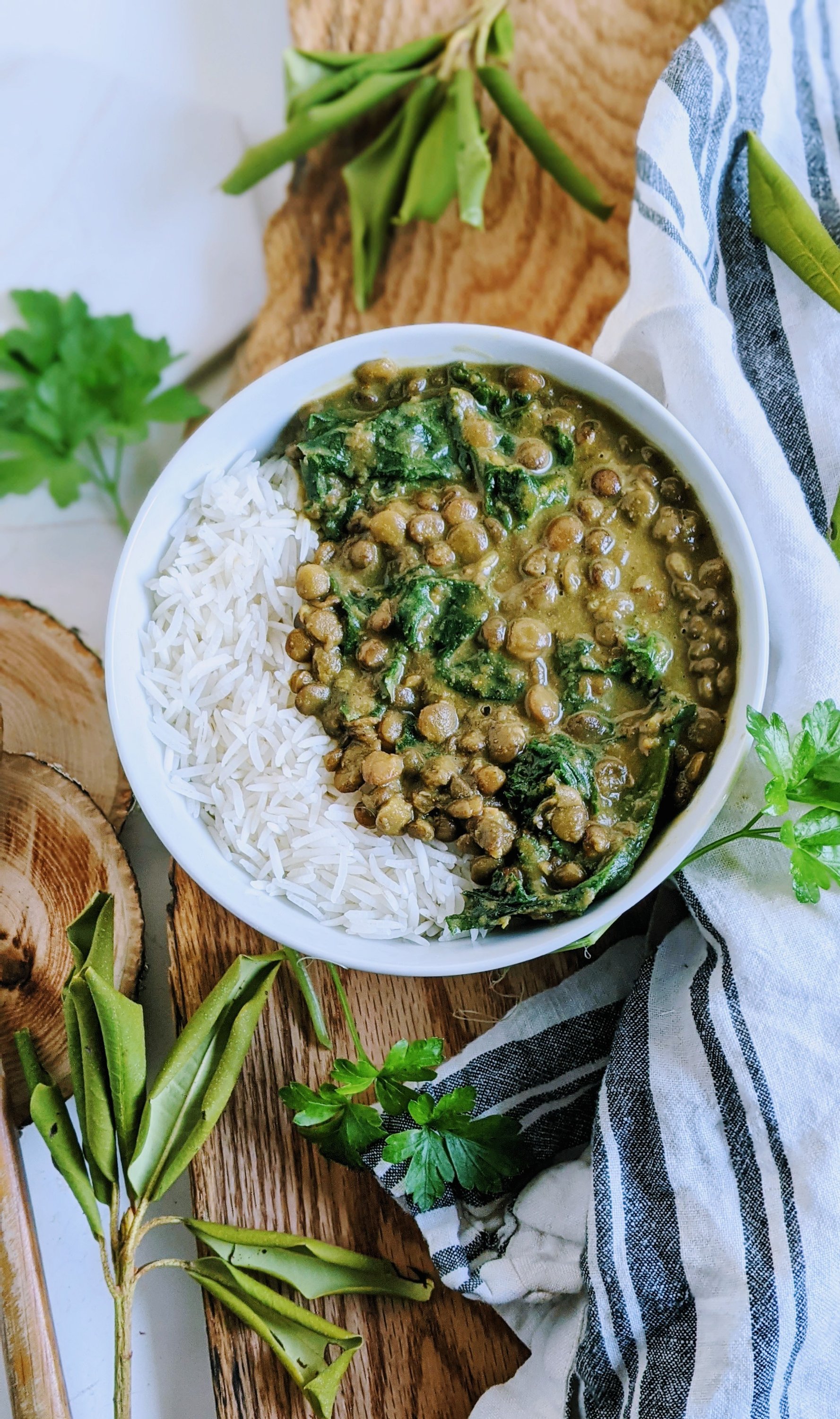 easy coconut milk curry with lentils indian food high protein vegan dairy free non dairy healthy curry recipes with french green lentil sor brown lentils