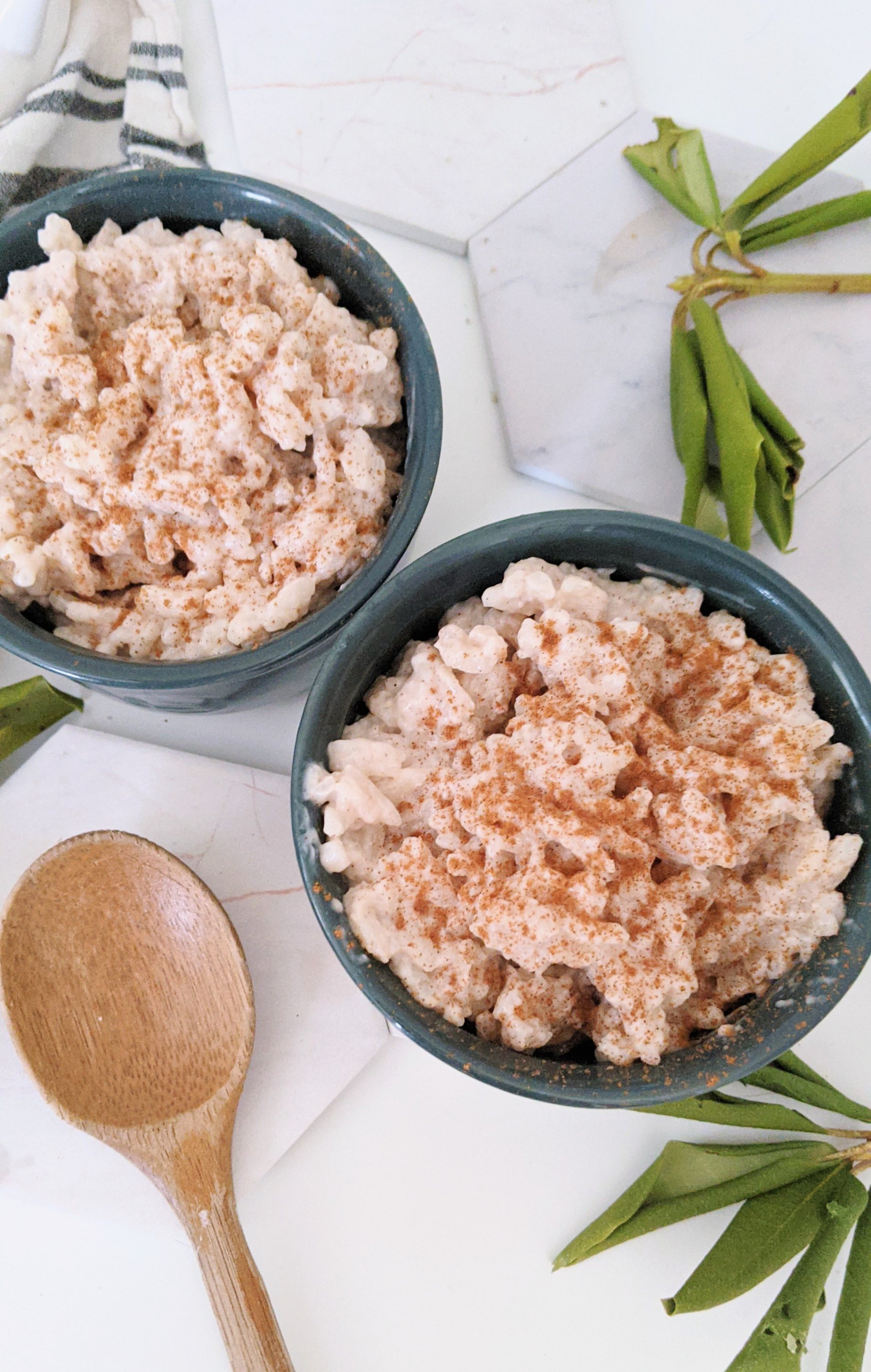 rice pudding with oat milk cinnamon arborio rice vanilla extract sugar salt vegan vegetarian gluten free dairy free pudding non dairy rice pudding recipe creamy and thick instant pot rice pudding