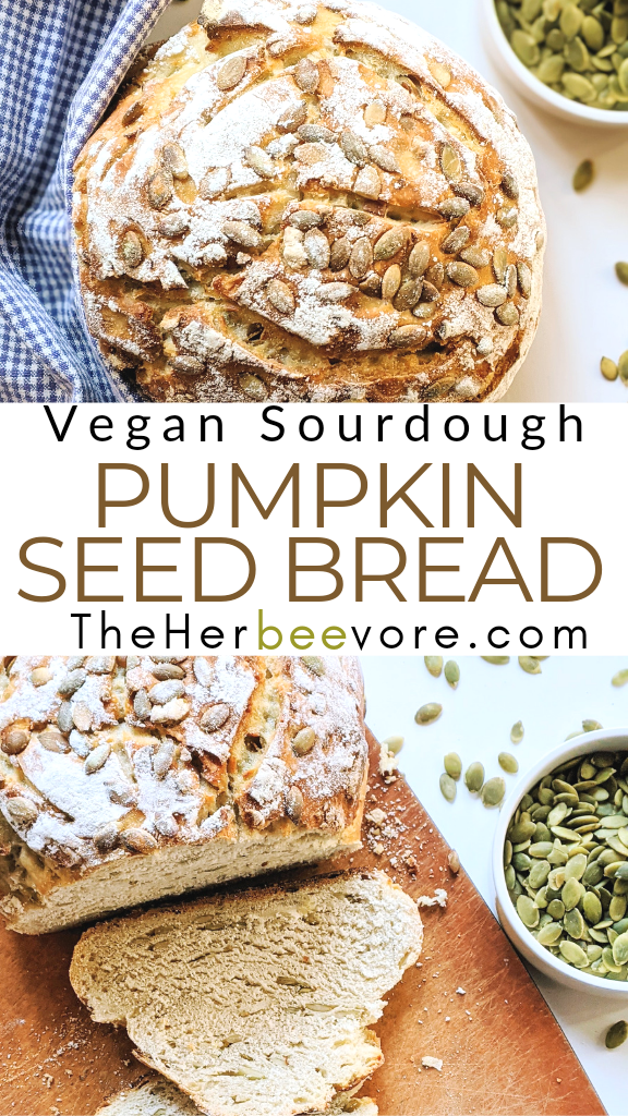 pumpkin seed bread sourdough starter vegan dairy free egg free healthy sourdough discard bread with pepitas