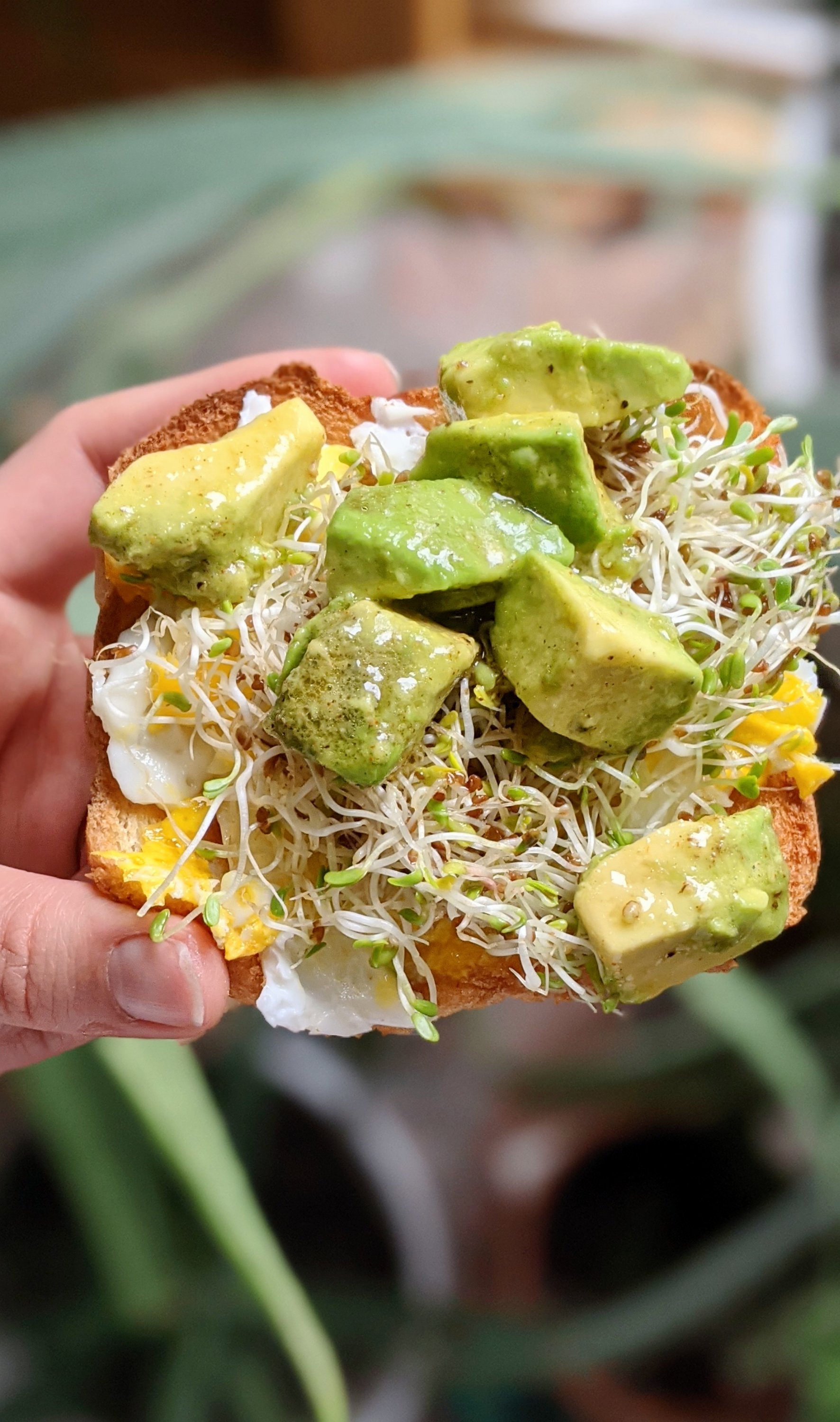 avocado salad breakfast sandwich recipe with smashed eggs and sprouts on toast with fresh marinated avocado salad for beunch recipes fancy vegan vegetarian gluten free