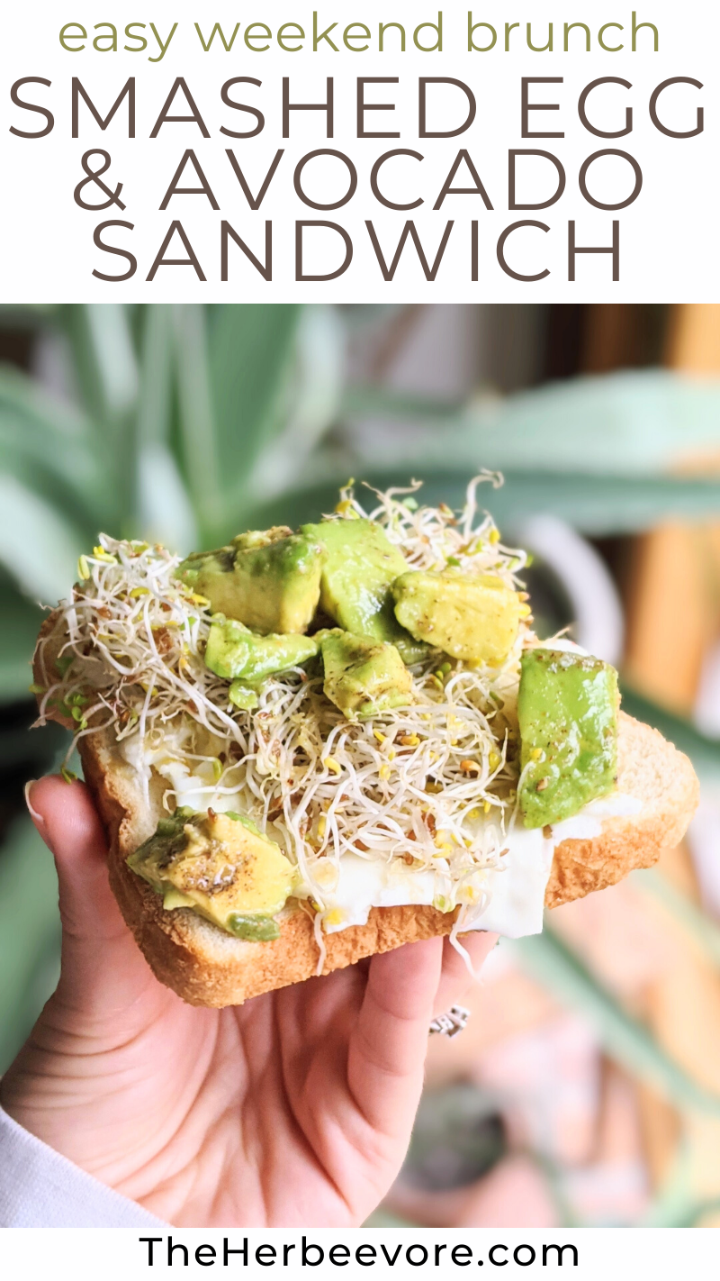 smashed avocado and egg sandwich breakfast recipes with smashed avocados and eggs mashed avocado and egg breakfast sandwich on toast with sprouts