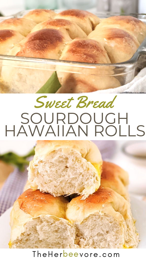 hawaiian sourdough rolls recipe homemade bread with pineapple juice naturally sweetened sourdough rolls healthy homemade sourdough discard hawaiian bread