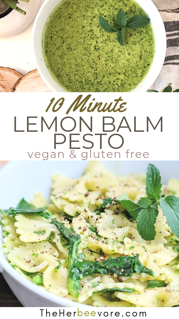 lemon balm recipes vegan gluten vegetarian recipes with lemon balm healthy homeopathic lemn basil recipes