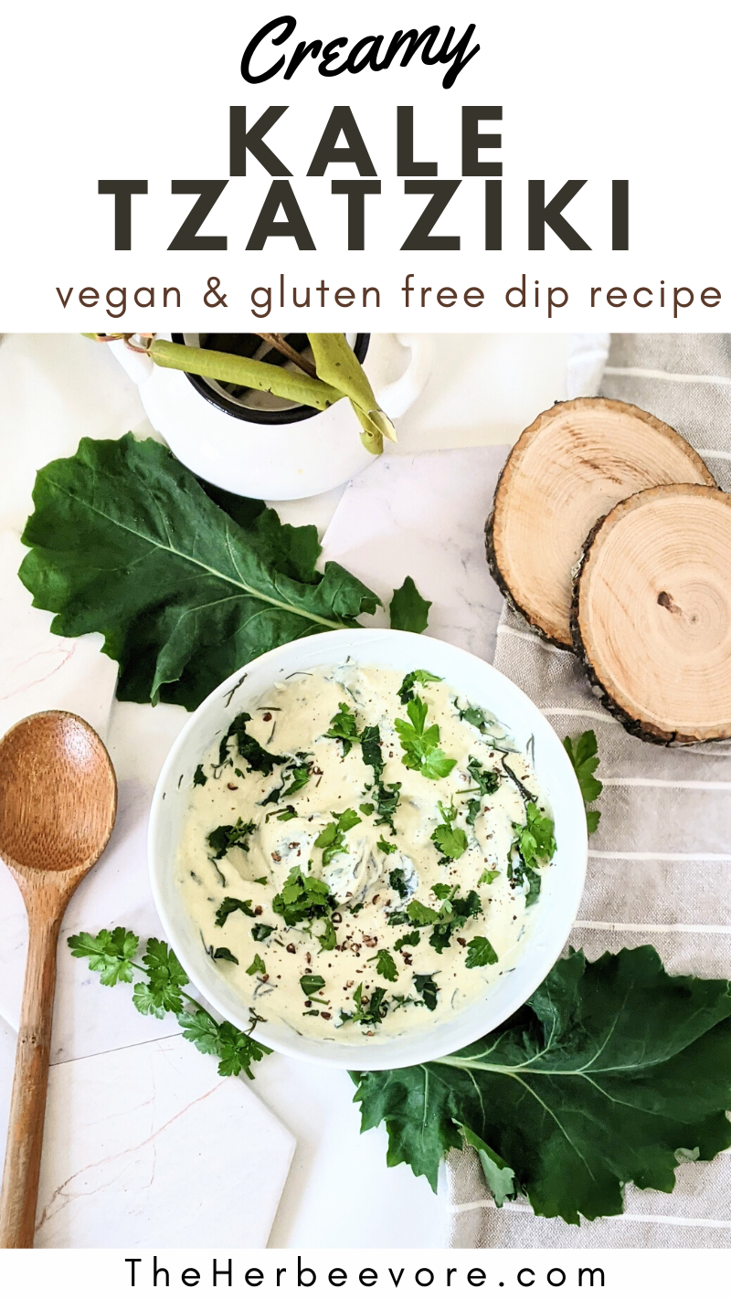 creamy vegan kale dip vegetable dip with kale dairy free tzatziki recipe without cucumber recipe