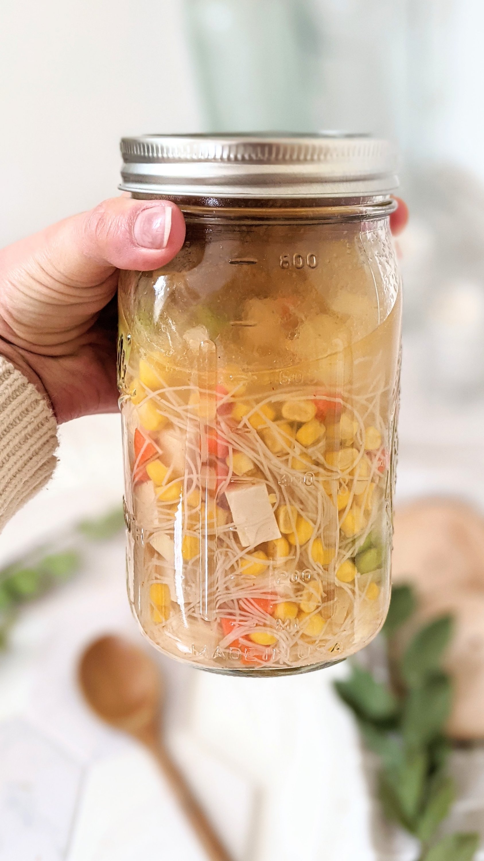 Mason Jar Vegetarian Ramen Soup - The Domestic Dietitian