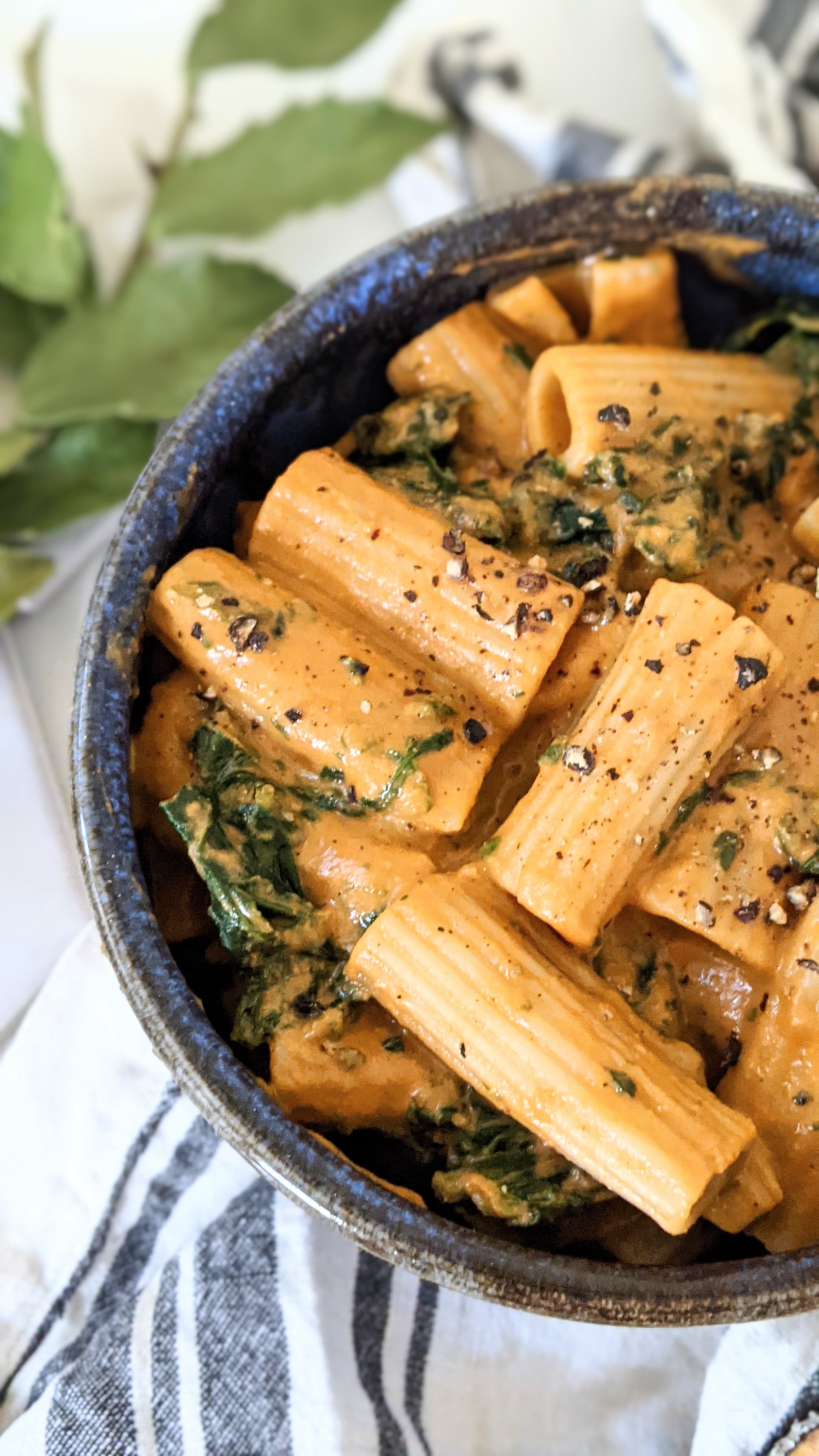 vegan creamy tomato spinach pasta dairy free healthy plant based spinach tomato pasta recipe easy weeknight dinners with pasta and vegetables 30 minute recipes simple vegan pastas