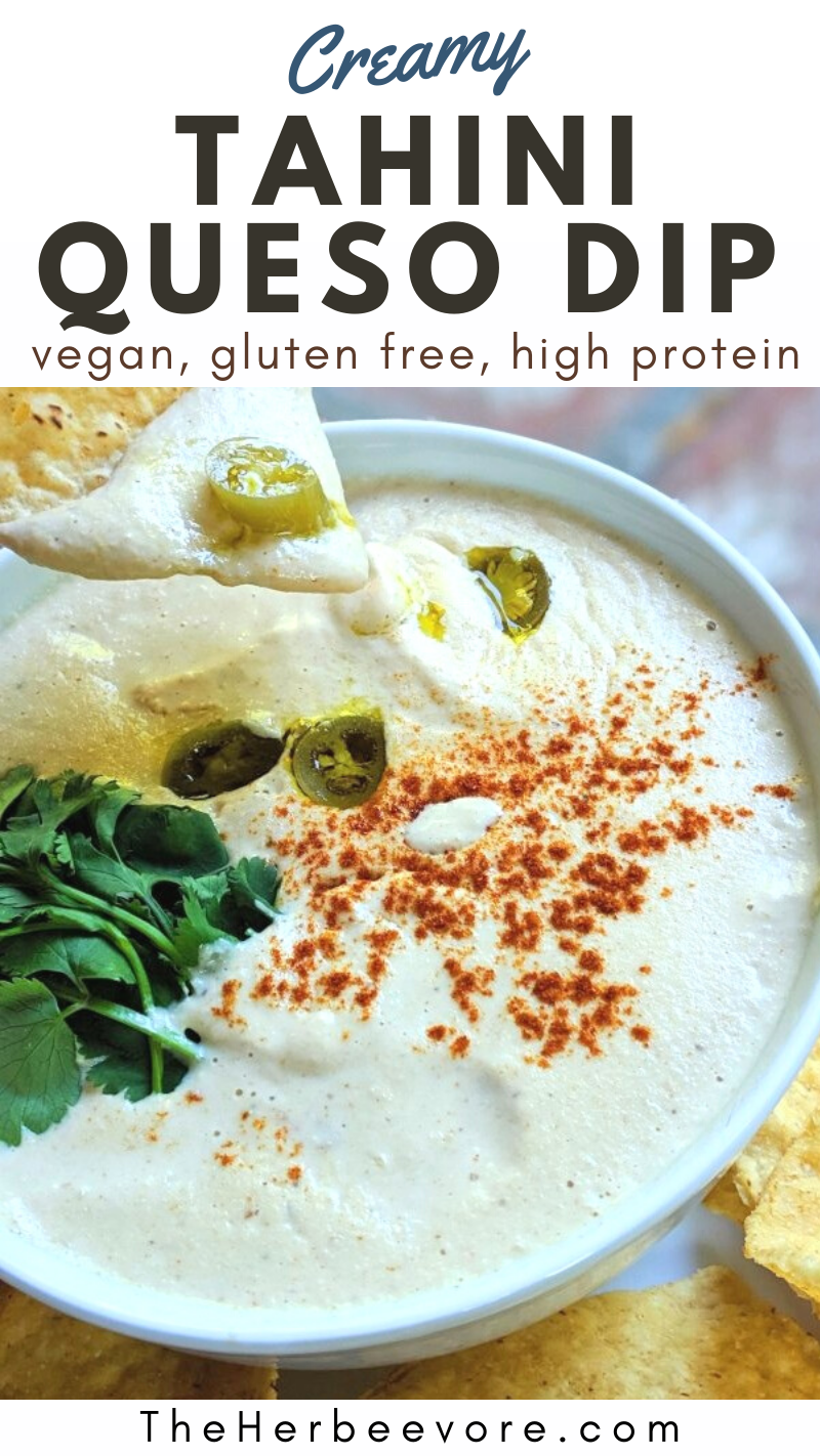 vegan tahini queso white queso dip dairy free no cheese queso with seeds
