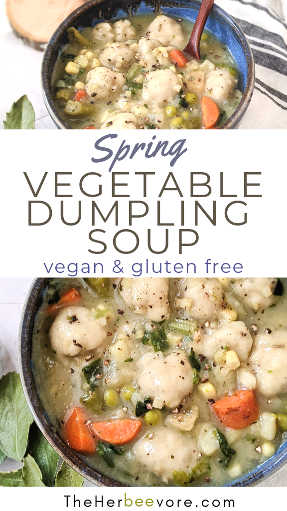 vegan dumpling soup recipe gluten free vegetable soups for spring produce soup recipes healthy herb dumpling soup recipe