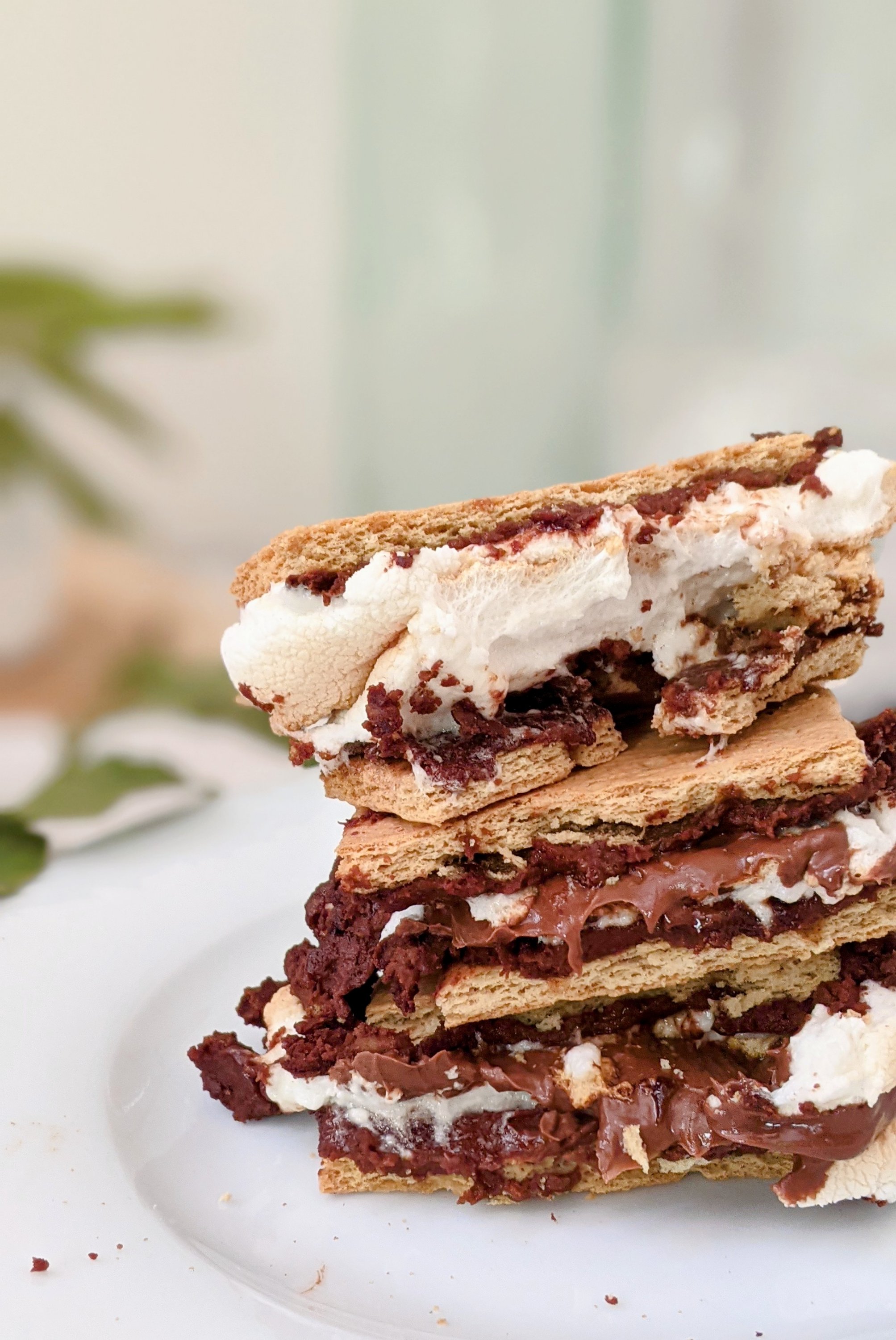 brownie batter s'mores recipe vegan option air fryer s'mores additions ways to make your smores extra add one to smores fun s'mores campfire recipes brownie smores
