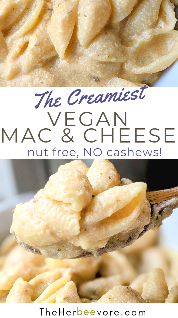 nut free vegan mac and cheese recipe without cashews dairy free macaroni and cheese no nuts mac and cheese with soy milk recipe healthy plant based mac and cheese vegan gluten free