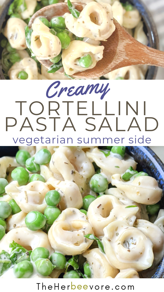 creamy tortellini salad recipe vegetarian cheese tortellini pasta salad recipes healthy plant based creamy pasta salads for summer meatless pasta salads healthy
