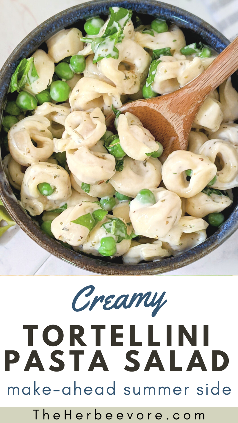 ranch tortellini salad recipe make ahead summer pasta salads creamy vegetarian side dishes for summer bbq recipes italian ranch tortellini salad stuffed pasta salad