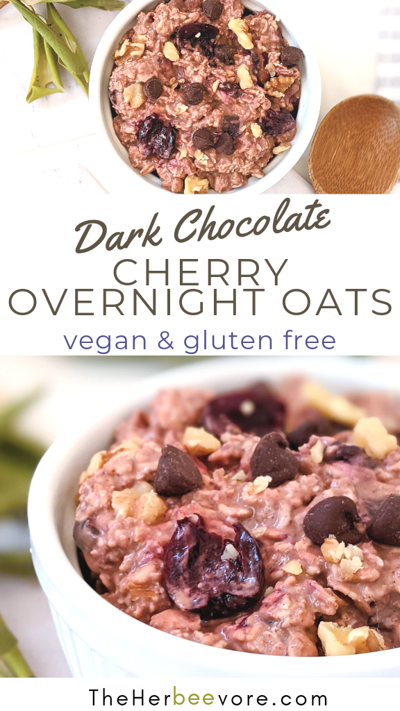 vegan chocolate cherry overnight oatmeal recipe gluten free cherry overnight oats with cacao powder and cherries healthy high fiber breakfast ideas no cook breakfasts for kids on the go