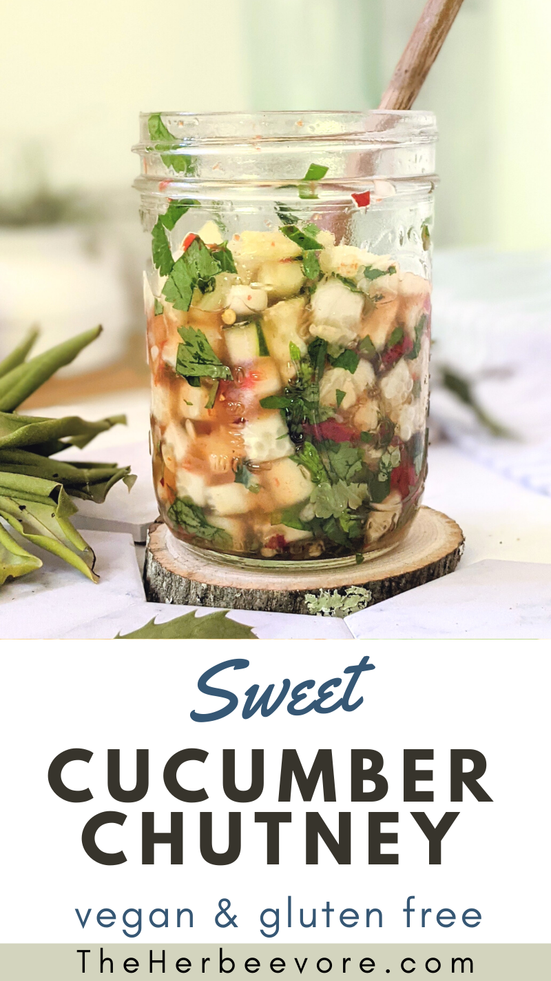 sweet cucumber chutney recipe healthy cucumber condiments healthy homemade relish recipe plant based spice and sweet chutney with cucumbers