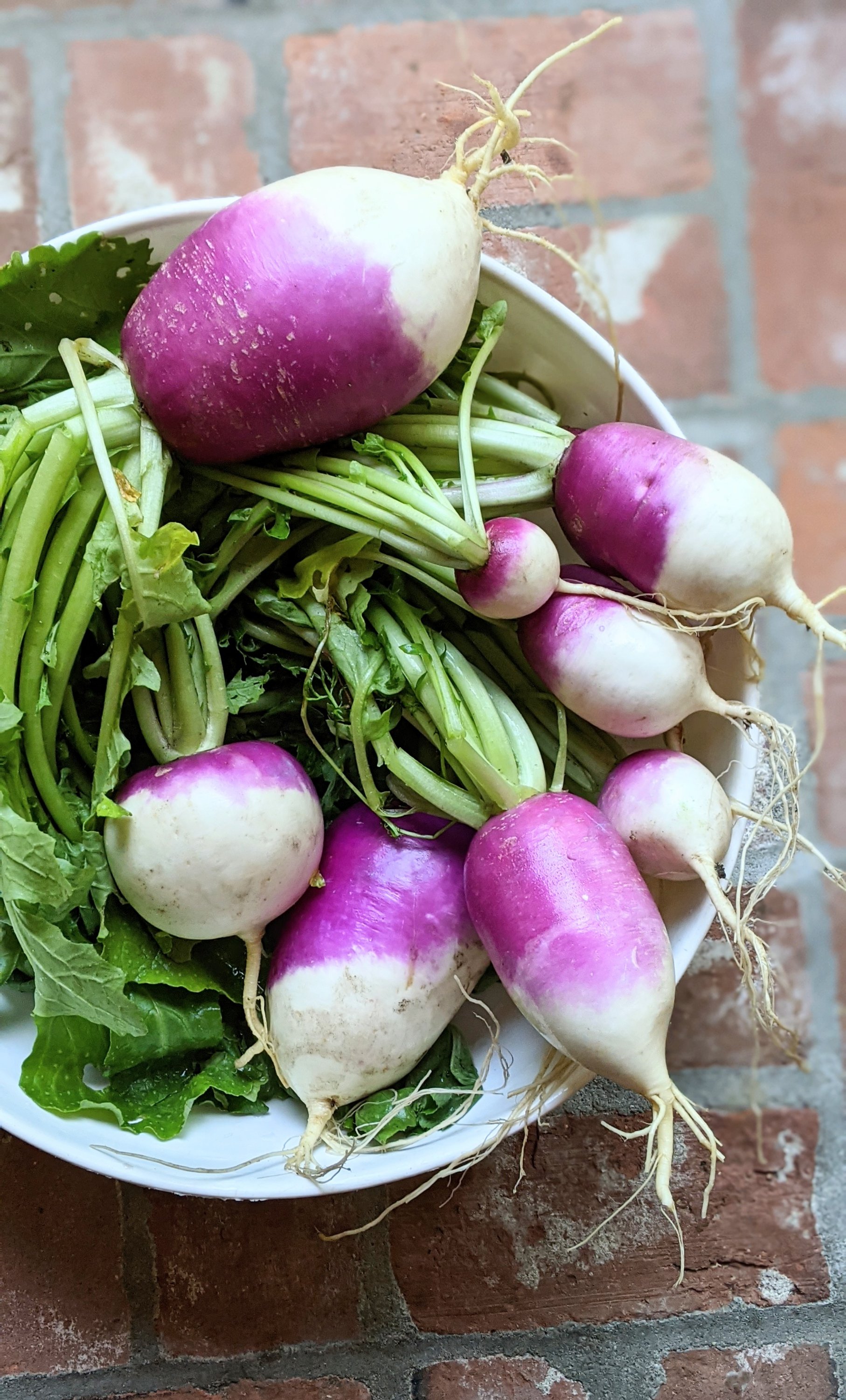 fresh garden turnips recipes from the garden how do you eat turnips what to do with turnip tops recipes with turnip greens vegan keto turnip green recipes