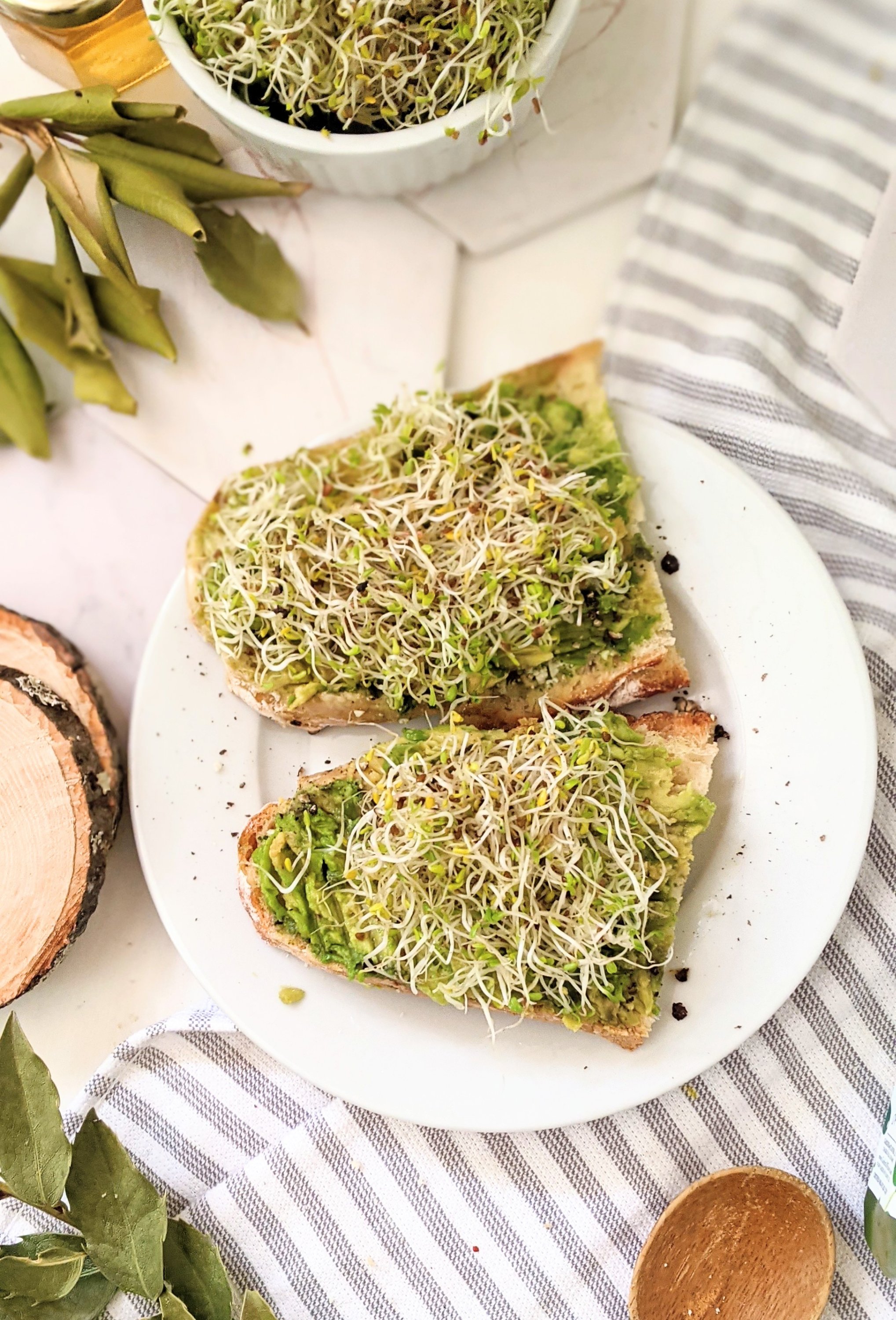 healthy sprout avocado toast with alfalfa sprouts recipe home grown sprouts recipes for breakfast or lunch easy crunchy avocado toast recipes with diy alfalfa sprouts grow your own in your kitchen
