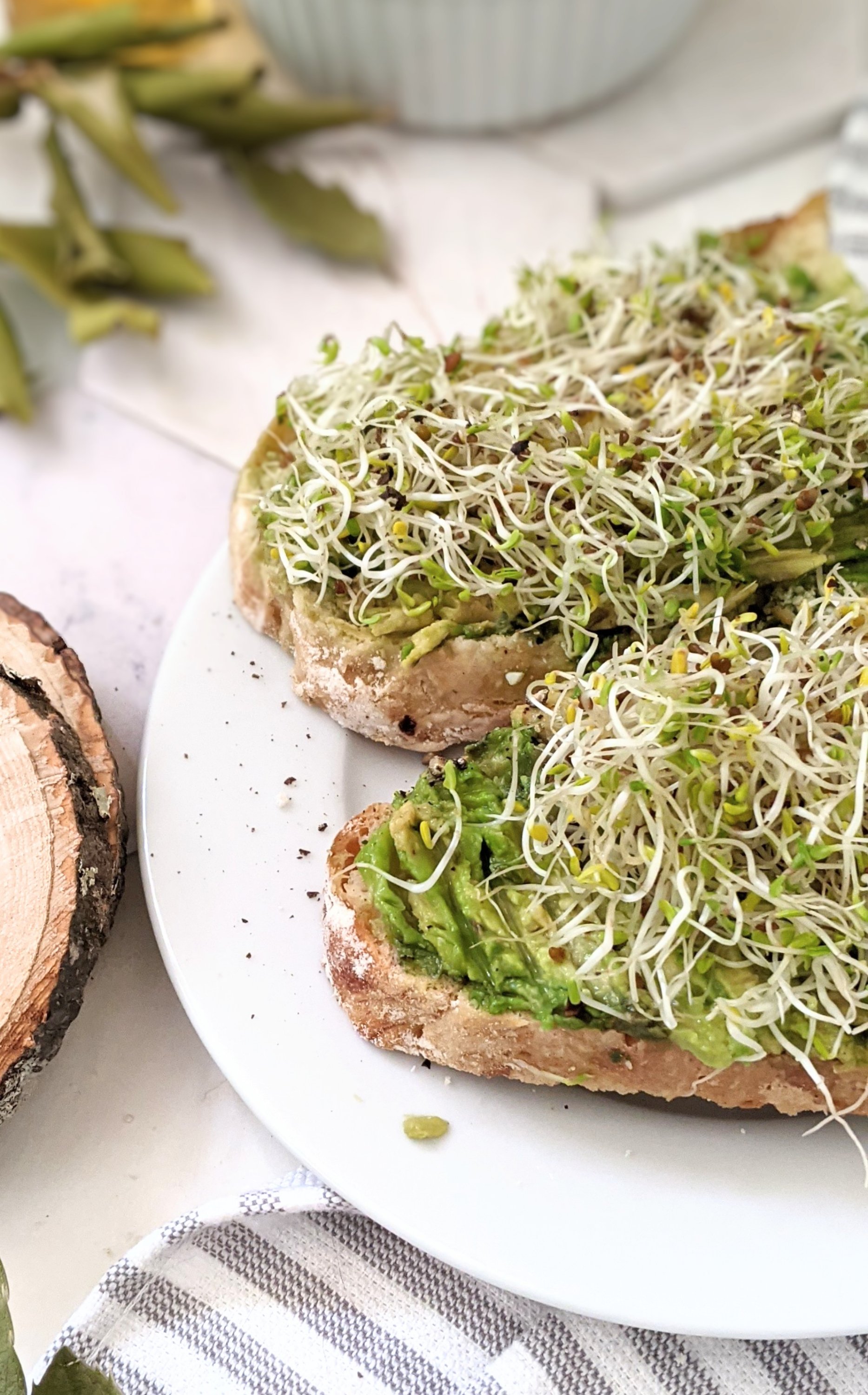 avocado sprouts toast recipe vegan gluten free avocado sprout toast recipes with sprouts for breakfast or brunch healthy avocado toast with montreal steak spice
