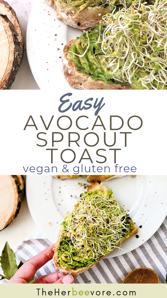 alfalfa sprout avocado toast recipe with sprouts vegan gluten free plant based recipes with sprouts healthy recipes for alfalfa sprout recipe ideas can you eat sprouts for breakfast