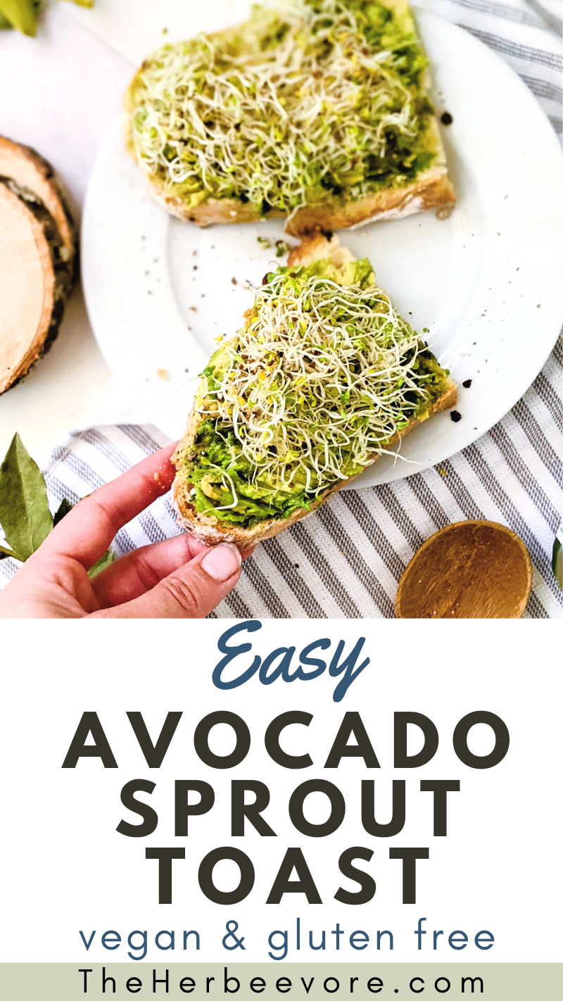 a pinterest avocado toast recipe with sprouts healthy homemade sprouts for breakfst you can grow on your own countertop. easy breakfast ideas wit sprouts brunch recipes