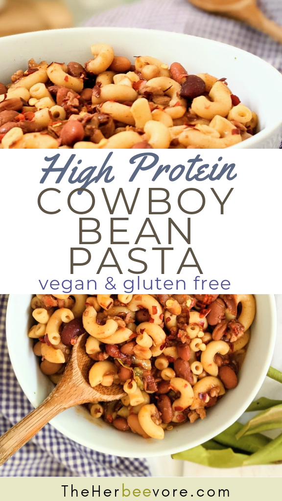 cowboy bean pasta recipes vegetarian pasta and beans cowboy macaroni recipes healthy 3 bean pasta southwest dinners high protein meatless meals