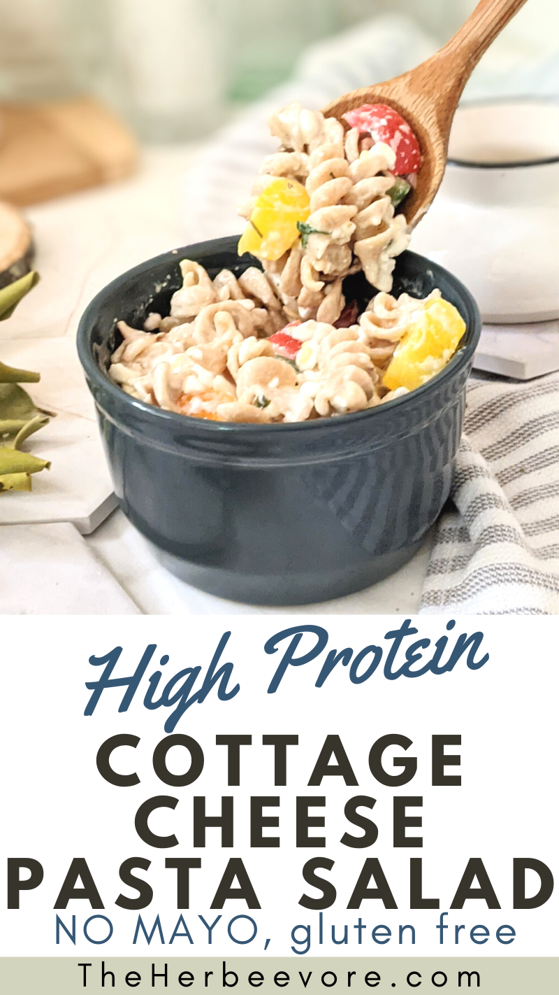 high protein cheese pasta salad recipe creamy pasta salads without mayo no mayonnaise pasta salads for summer