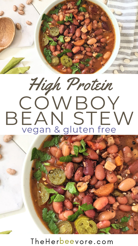 high protein high fiber vegan recipes with beans bbq vegetarian bean stew recipe american western cowboy recipes healthy lunches filling vegan