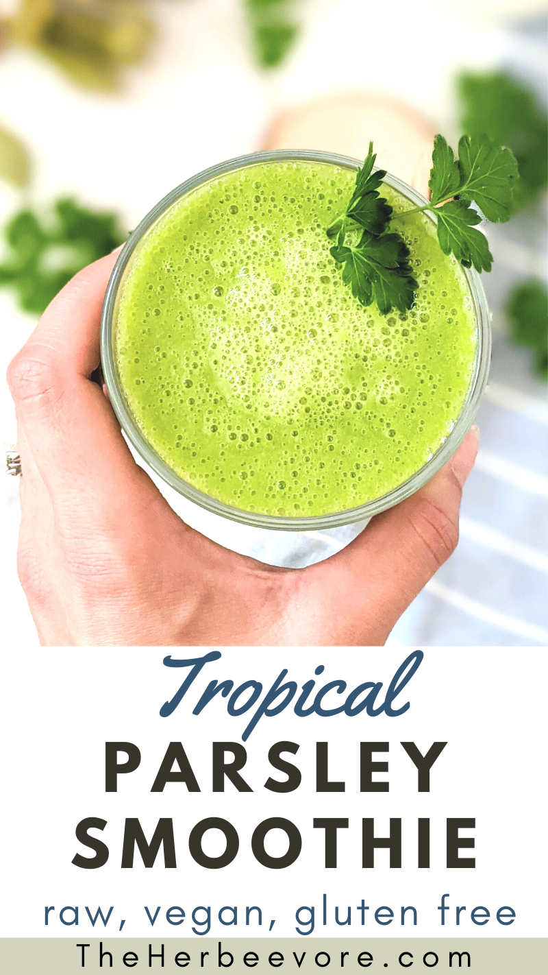 parsley smoothies healthy vegan gluten free can you eat parsley stems in smoothies recipes for breakfast high protein parsley smoothie with tropcal gut healthy protein powder parsley smoothie detox