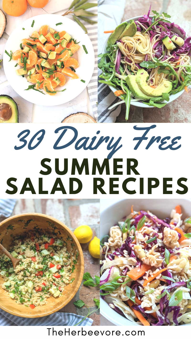dairy free summer salad recipes healthy plant based salads without dairy fot hot weather non dairy salads for summer potlucks bbq or cookouts