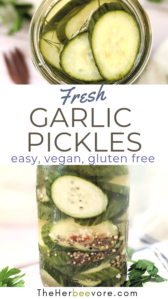 refrigerator garlic pickles recipe vegan cucumbers recipes from garden cucumber pickles with fresh cucumbers healthy no boil pickle recipe with garlic gluten free pickles at home