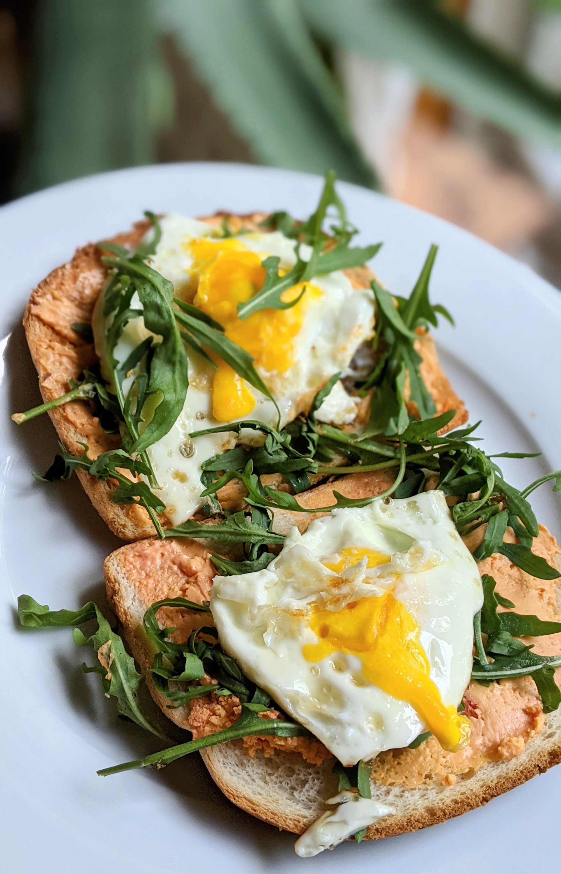 open faced cheese egg and arugula sandwich with pub cheese spread port wine or white cheddar spreadable cheese on brioche toast with leafy greens and a fried egg on top vegetarian fancy breakfasts bougie as hell great hungover breakfast ideas without meat