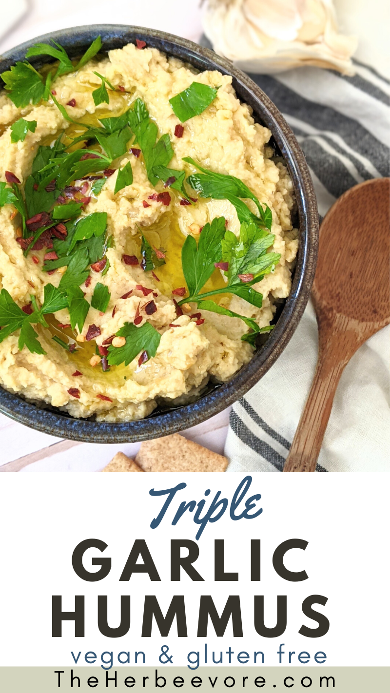 vegan garlic hummus with tahini recipe no cook recipes for summer snacks and dips without cooking hummus recipes no heat snacks no cook appetizers for a hot day beach snacks and dips for vegetables and bread