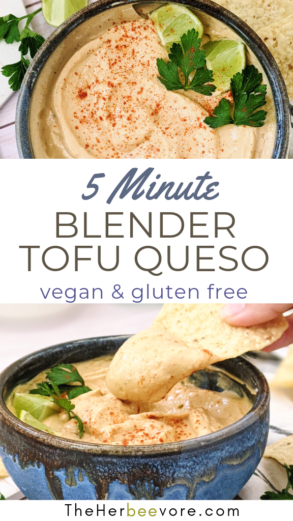 vegan blender queso recipe nut free vegan cheese sauce tofu queso dip recipe plant based high protein dips gluten free no dairy