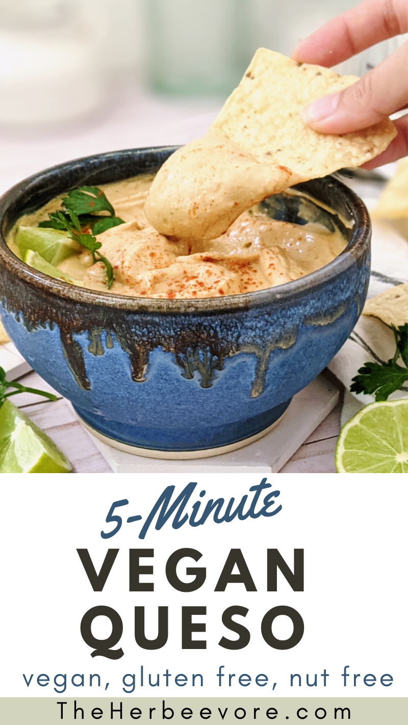 vegan nut free queso recipe no cashews dairy free mexican cheese dip with tofu dip recipes spicy cheese sauce plant based blender sauces in 5 minutes